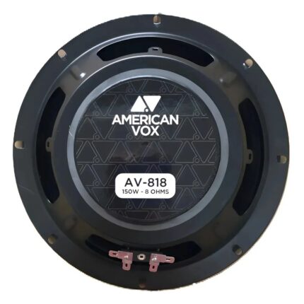 Vista posterior — Altavoz American Vox – AV818