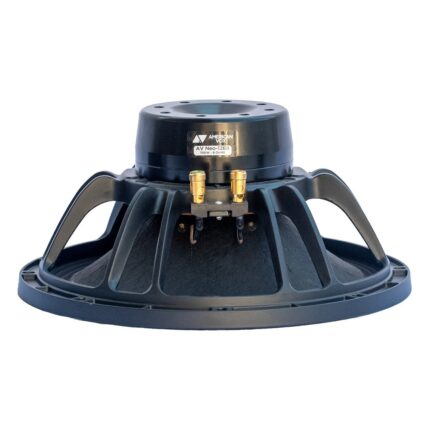 Vista posterior — Altavoz American Vox – AV-NEO1288