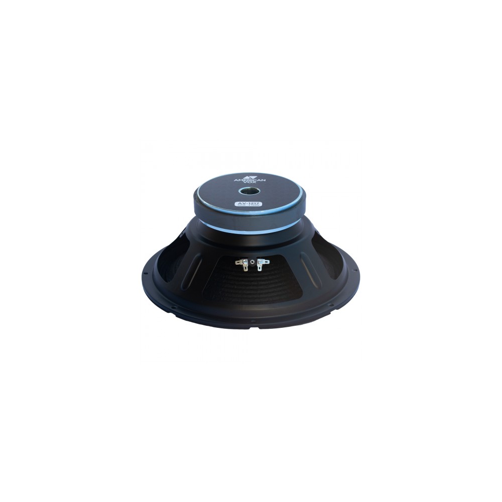 BW1217-1-product Altavoz American Vox – AV1217 — American Vox