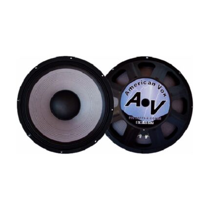 BW1517 AmericanVox altavoz — frente