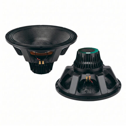 Parlante de neodimio Compact Pro CP-21N de 21 pulgadas, vistas frontal y posterior con etiqueta verde