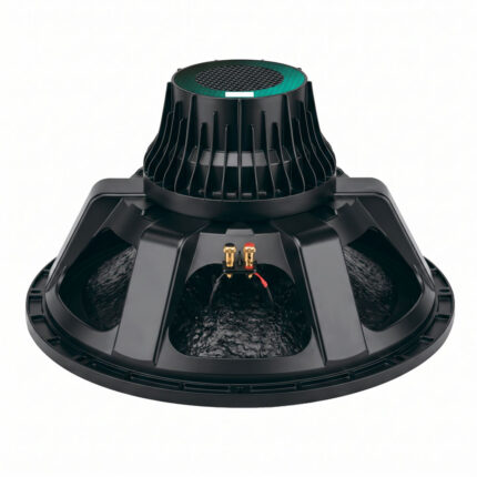Parlante de neodimio Compact Pro CP-21N de 21 pulgadas, vista posterior con etiqueta verde